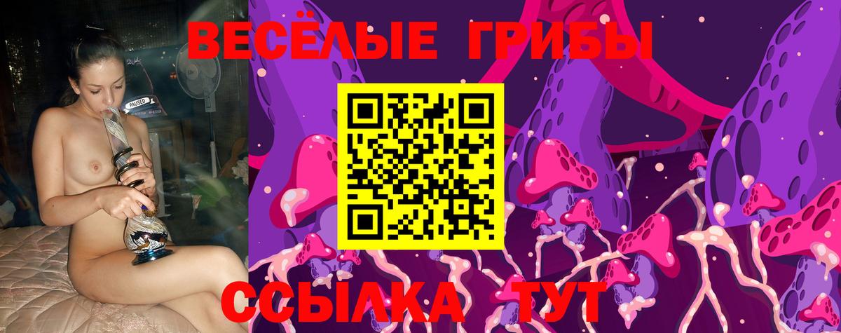 Псилоцибиновые грибы Psilocybe Шарыпово