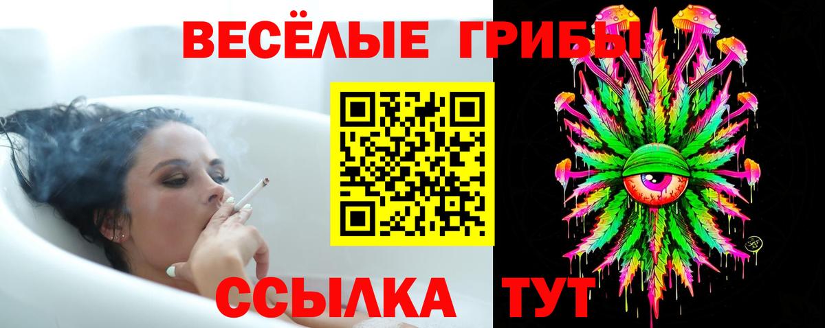 Шарыпово  Псилоцибиновые грибы прущие грибы  цена   Вход с VPN 